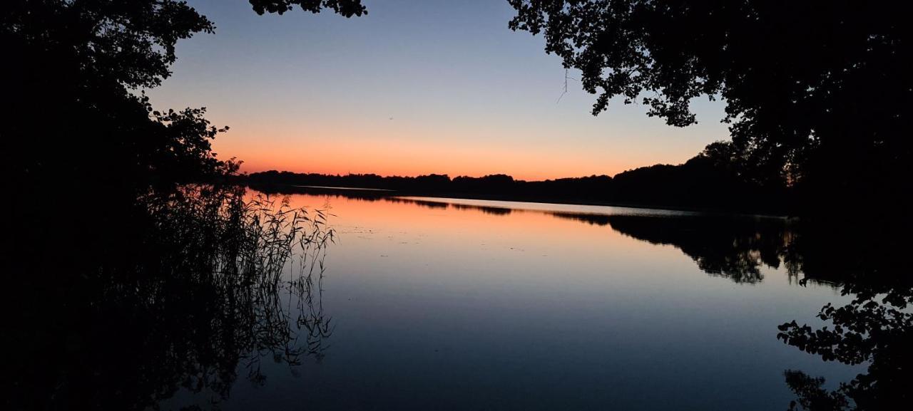 Hotel Seeblick Am Sankelmarker See - Natur Und Erholung エーファーゼー エクステリア 写真